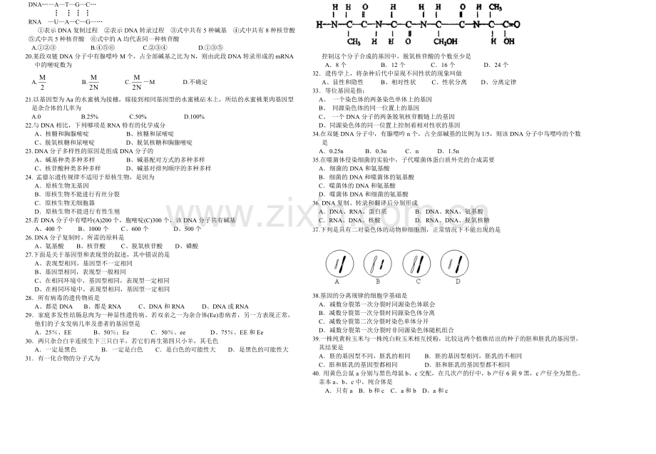 高二生物下学期第一次月考试卷(1).doc_第2页