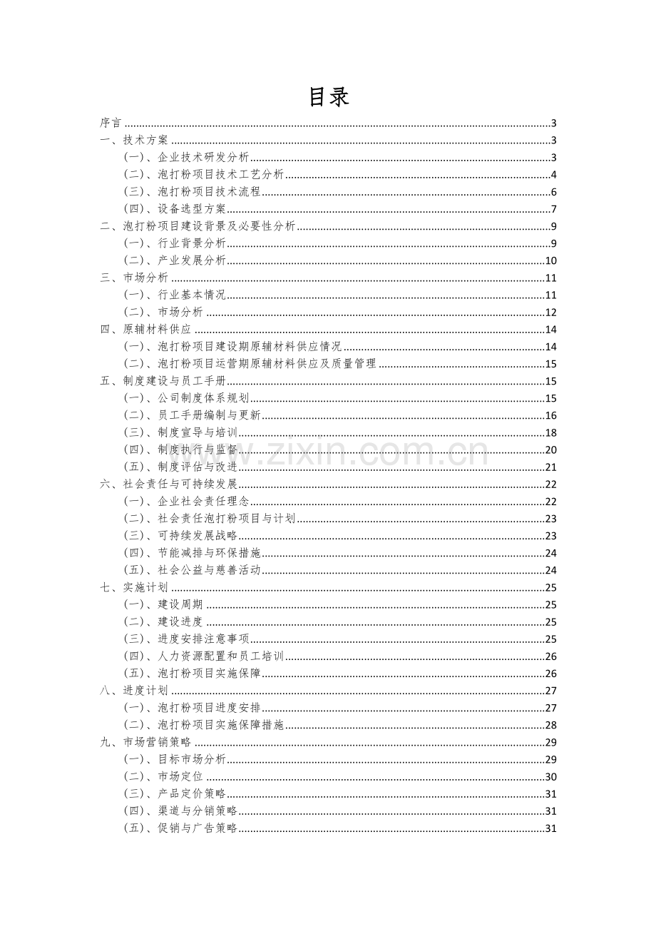 2024年泡打粉项目可行性研究报告.docx_第2页