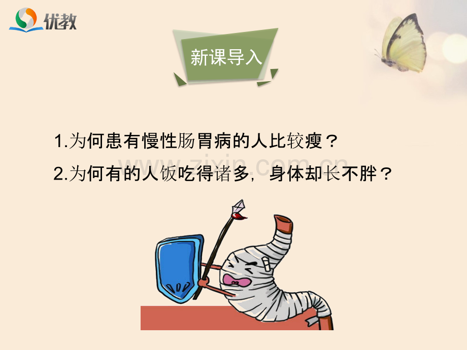 营养物质的吸收和利用优教课件.ppt_第3页