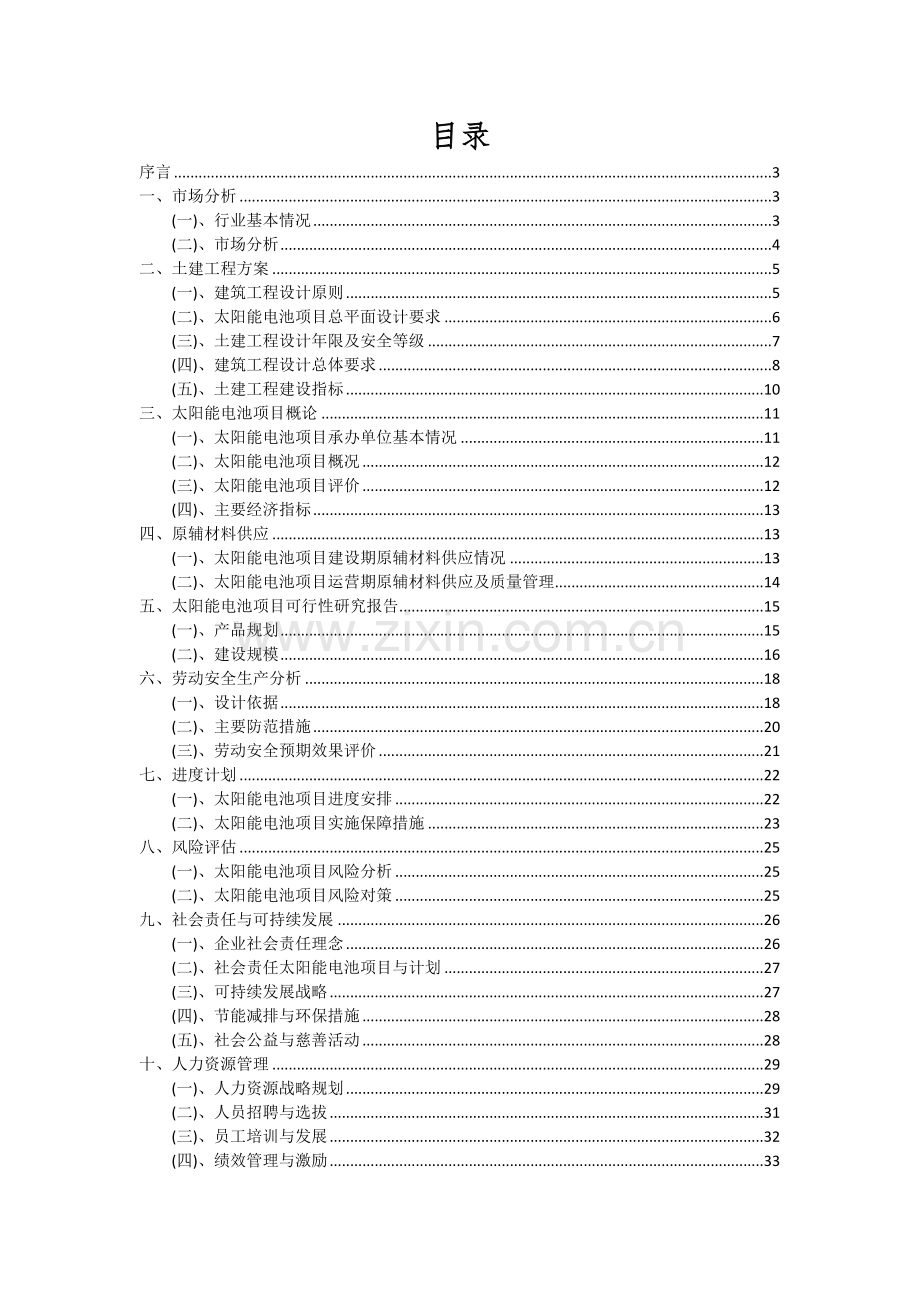 2024年太阳能电池项目深度研究分析报告.docx_第2页