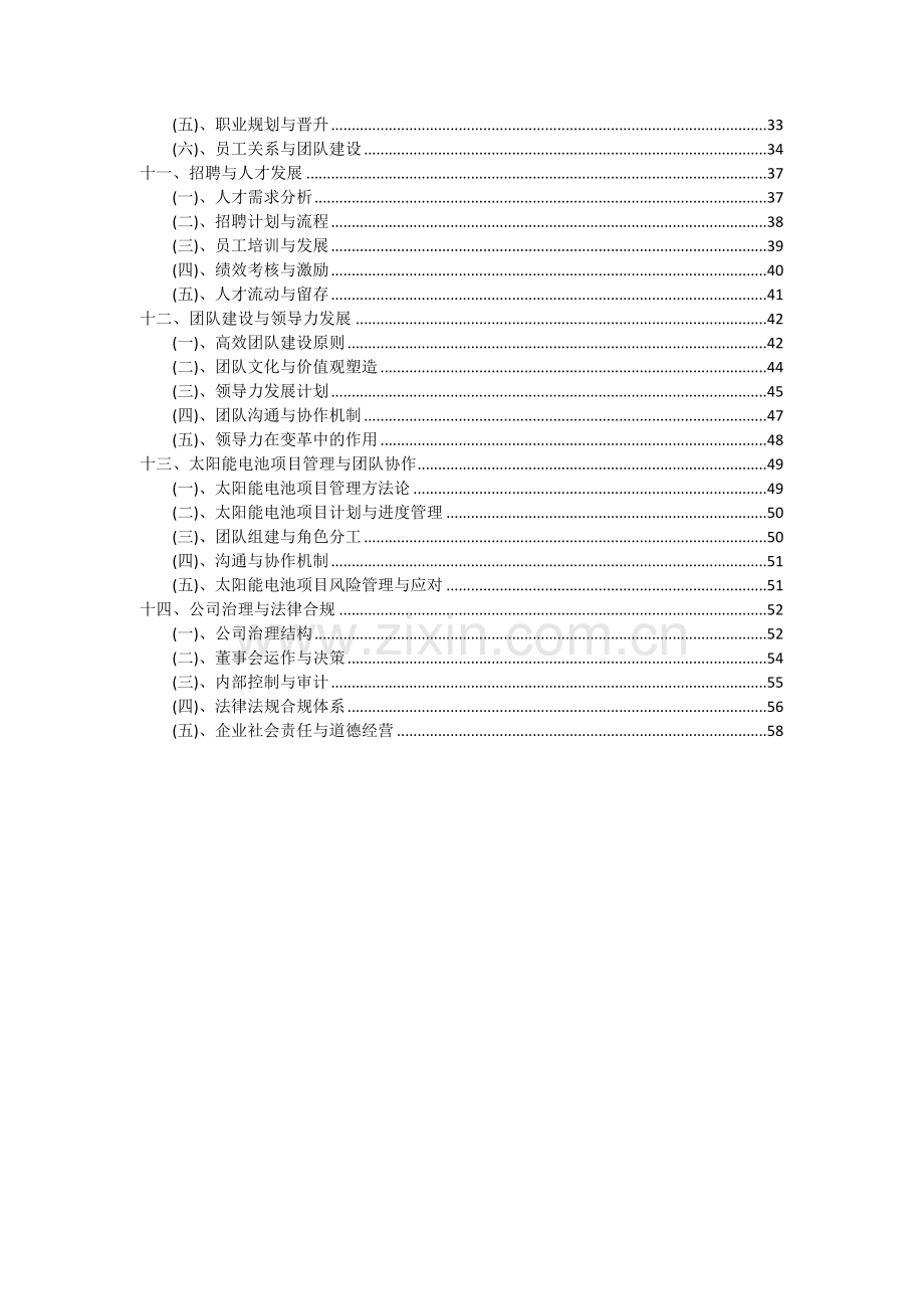 2024年太阳能电池项目深度研究分析报告.docx_第3页