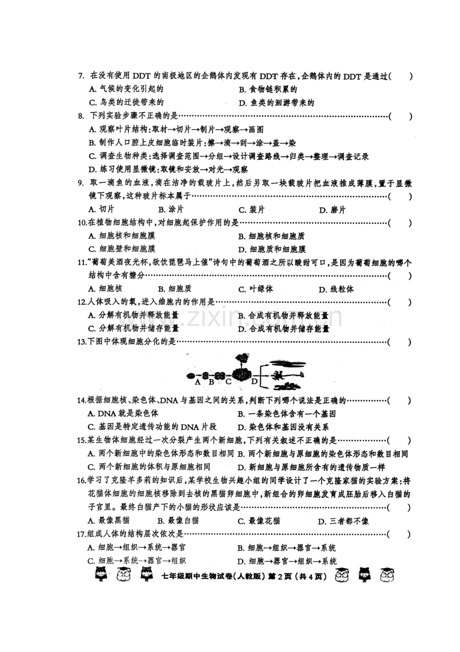 七年级生物上册期中考试题5.doc_第2页