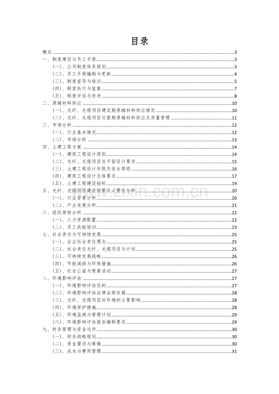 2024年光纤、光缆项目可行性分析报告.docx_第2页