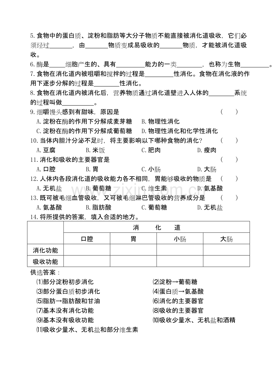 人体的消化与吸收-江苏教育版.doc_第2页