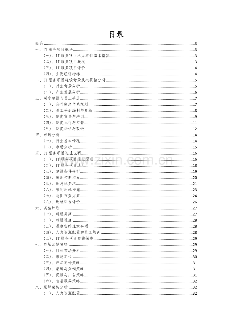 2024年IT服务项目深度研究分析报告.docx_第2页