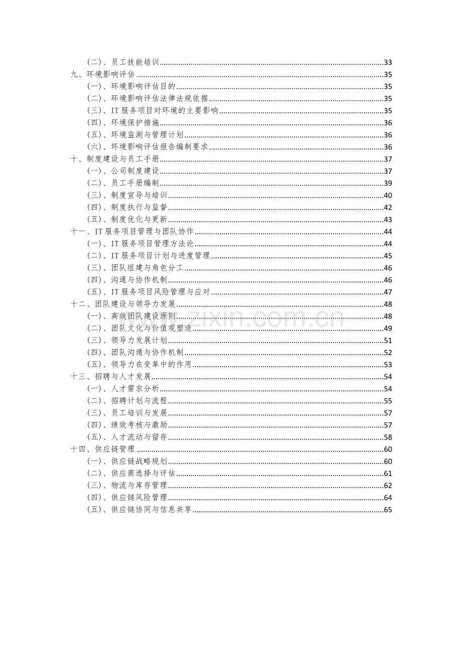 2024年IT服务项目深度研究分析报告.docx_第3页