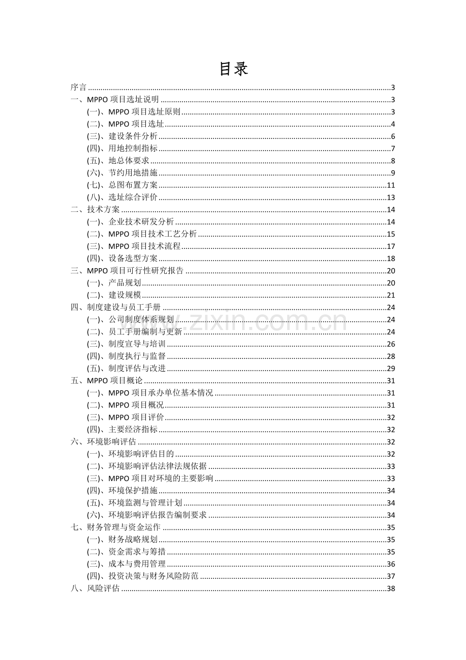 2024年MPPO项目可行性研究报告.docx_第2页