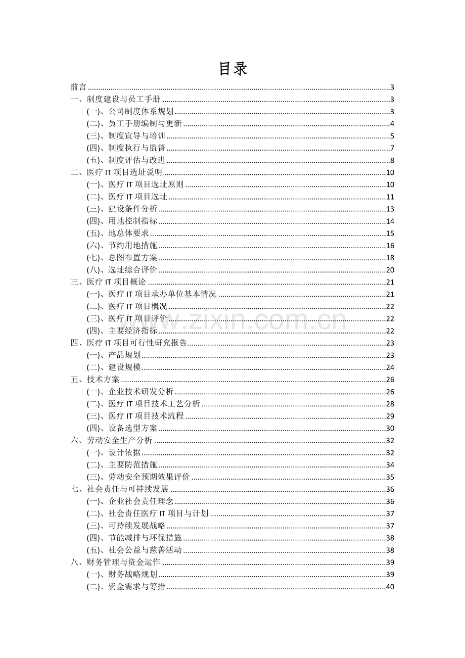 2024年医疗IT项目可行性研究报告.docx_第2页