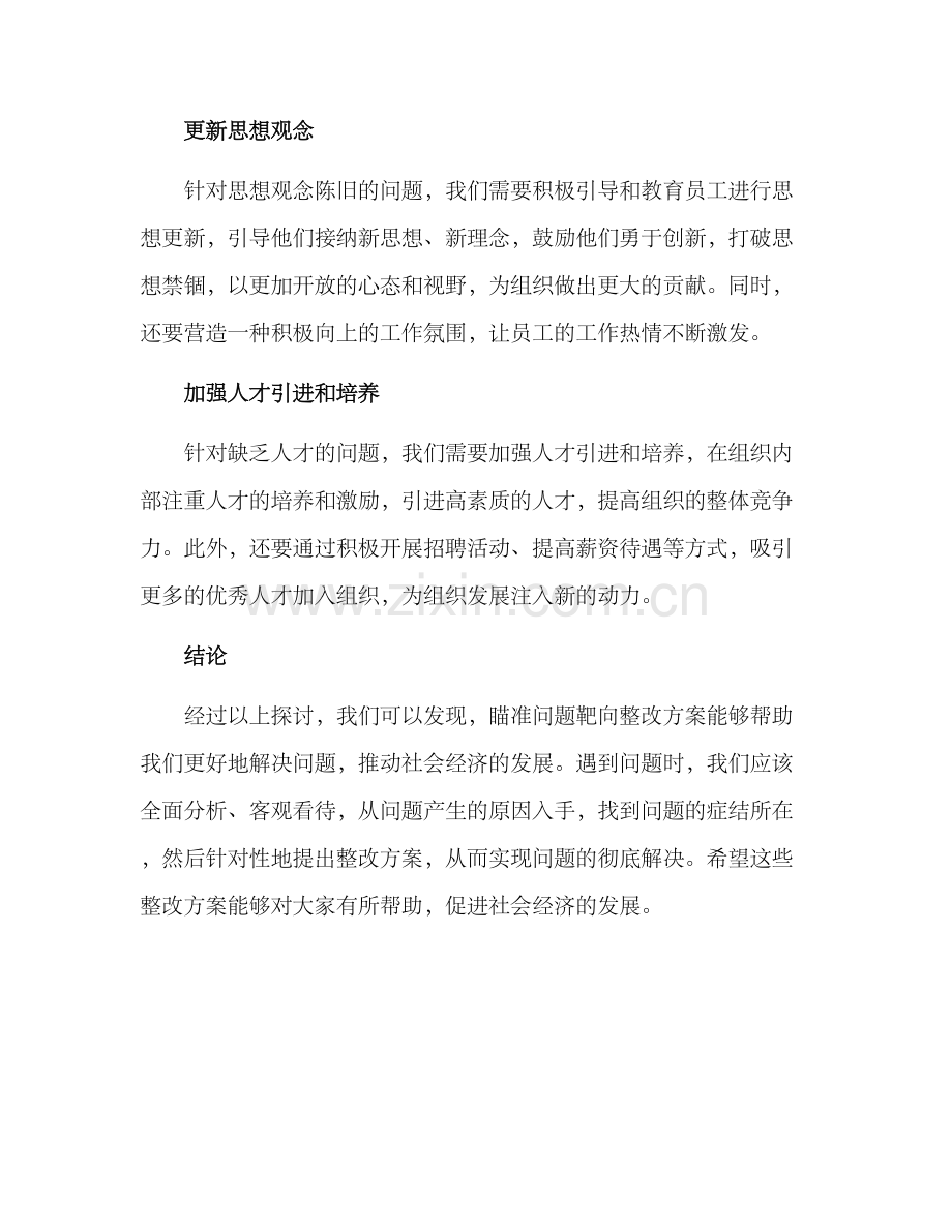 瞄准问题靶向整改方案.docx_第3页