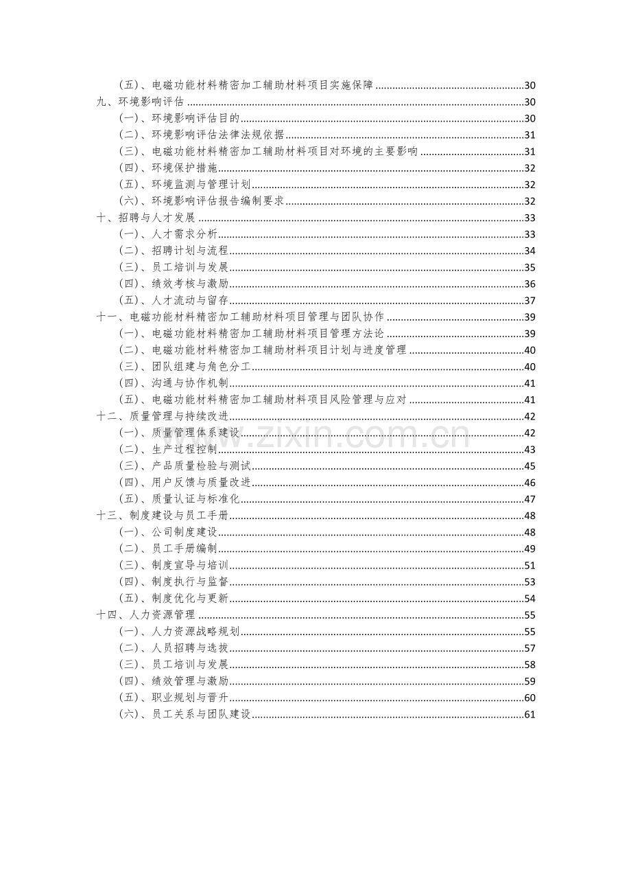 2024年电磁功能材料精密加工辅助材料项目可行性分析报告.docx_第3页