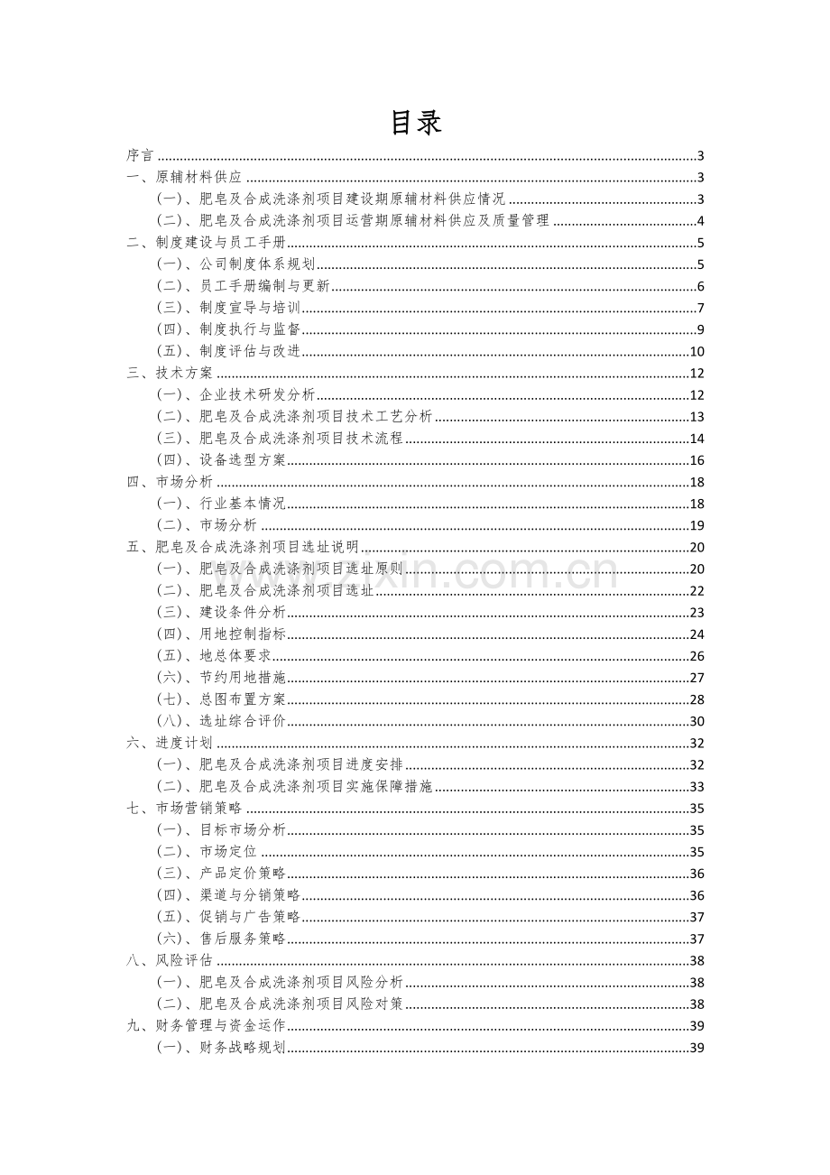 2024年肥皂及合成洗涤剂项目可行性研究报告.docx_第2页