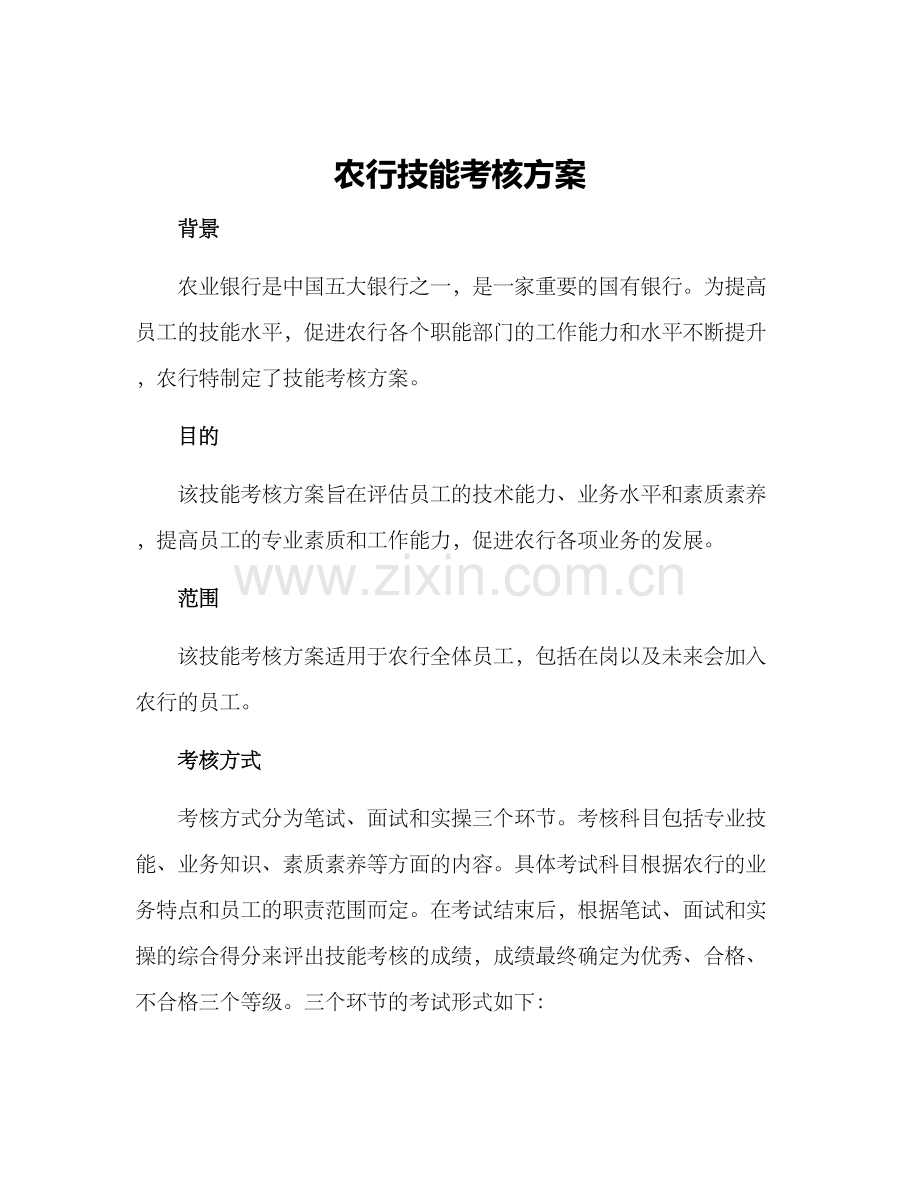 农行技能考核方案.docx_第1页