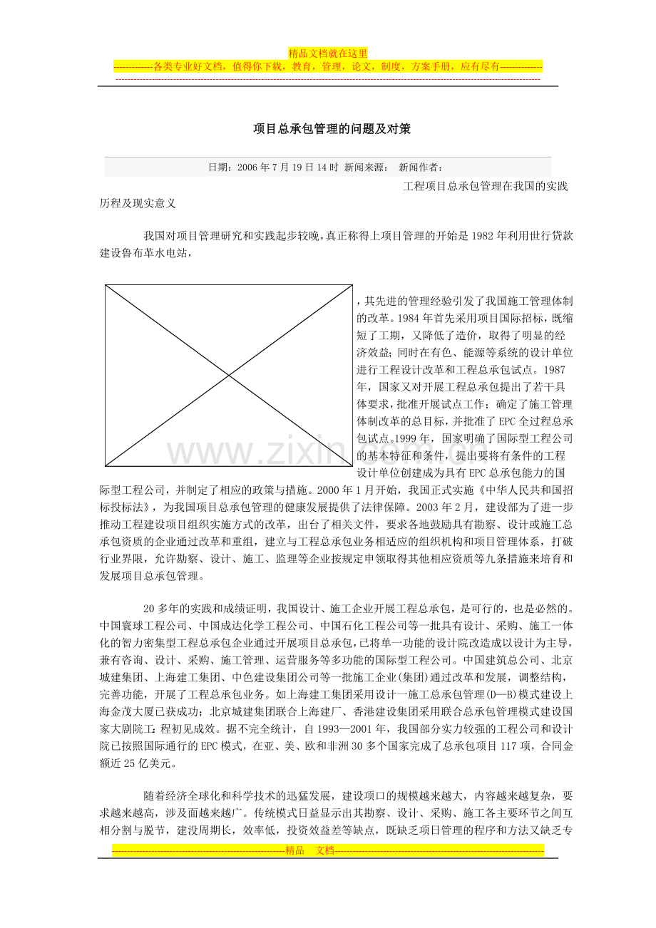 项目总承包管理的问题及对策.docx_第1页