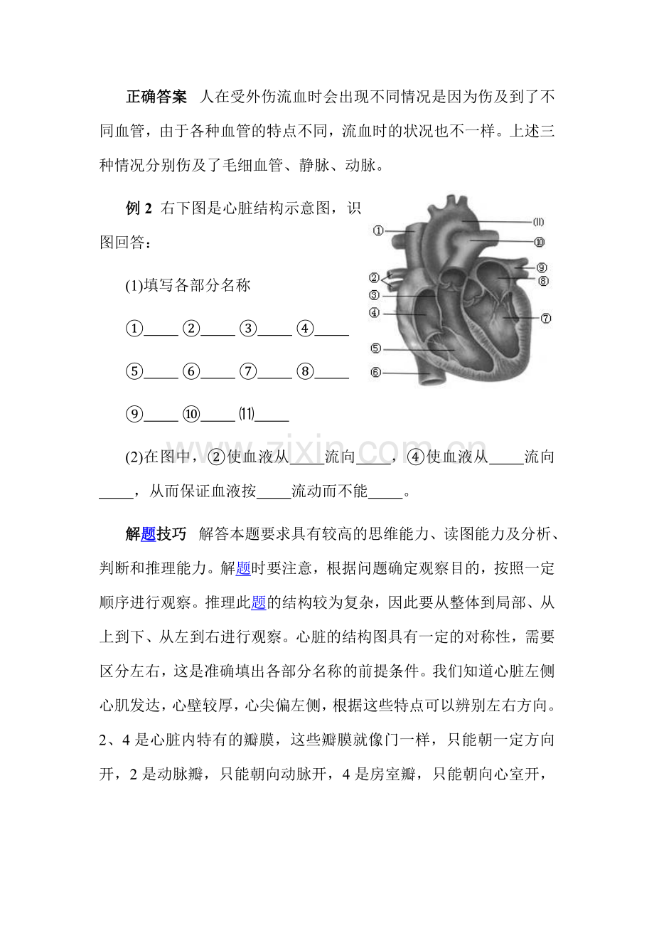 七年级生物下册知识点课时训练题18.doc_第2页