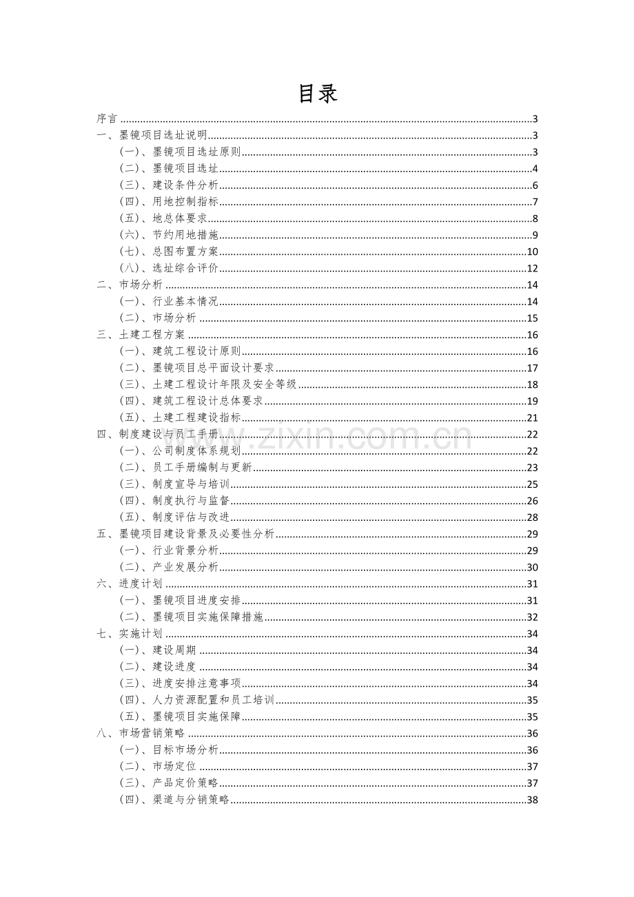 2024年墨镜项目可行性研究报告.docx_第2页