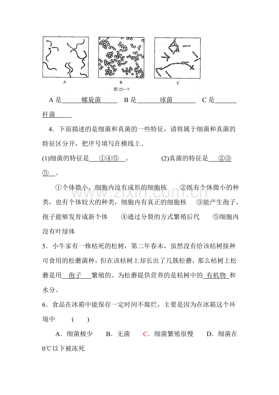 八年级生物细真菌和病毒同步练习.doc_第2页