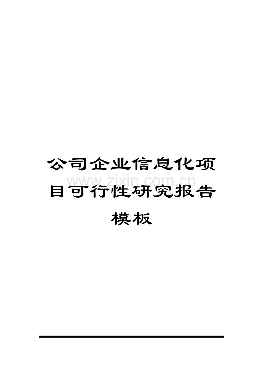 公司企业信息化项目可行性研究报告模板.doc_第1页