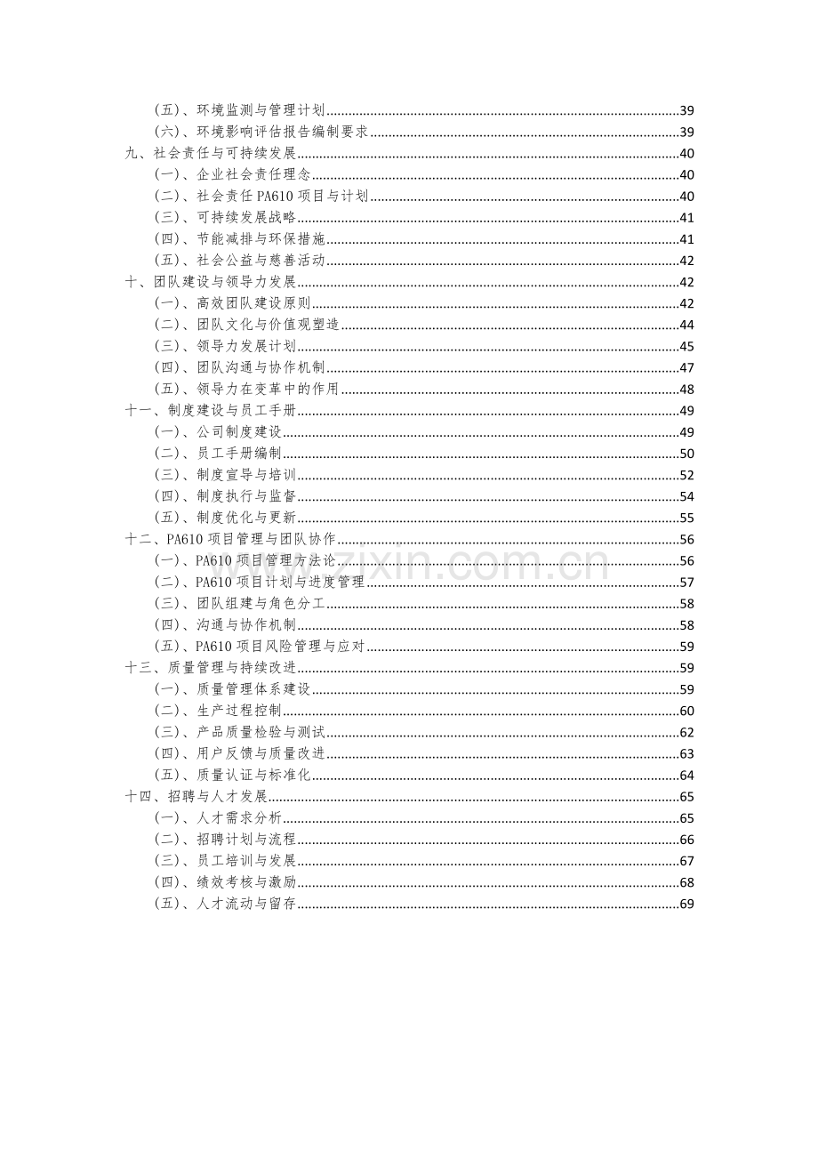 2024年PA610项目可行性分析报告.docx_第3页