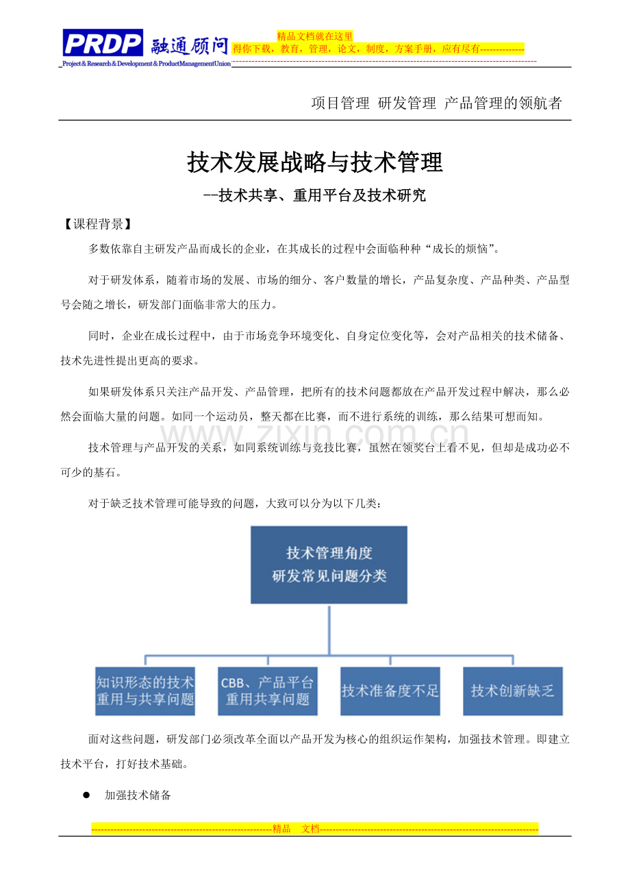 技术发展战略与技术管理.doc_第1页