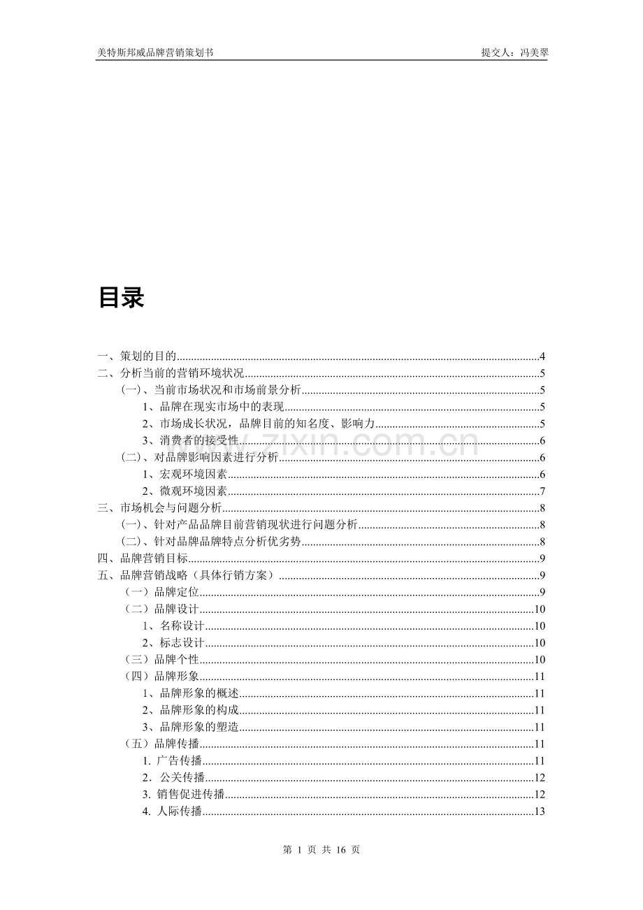 品牌营销策划书.doc_第1页