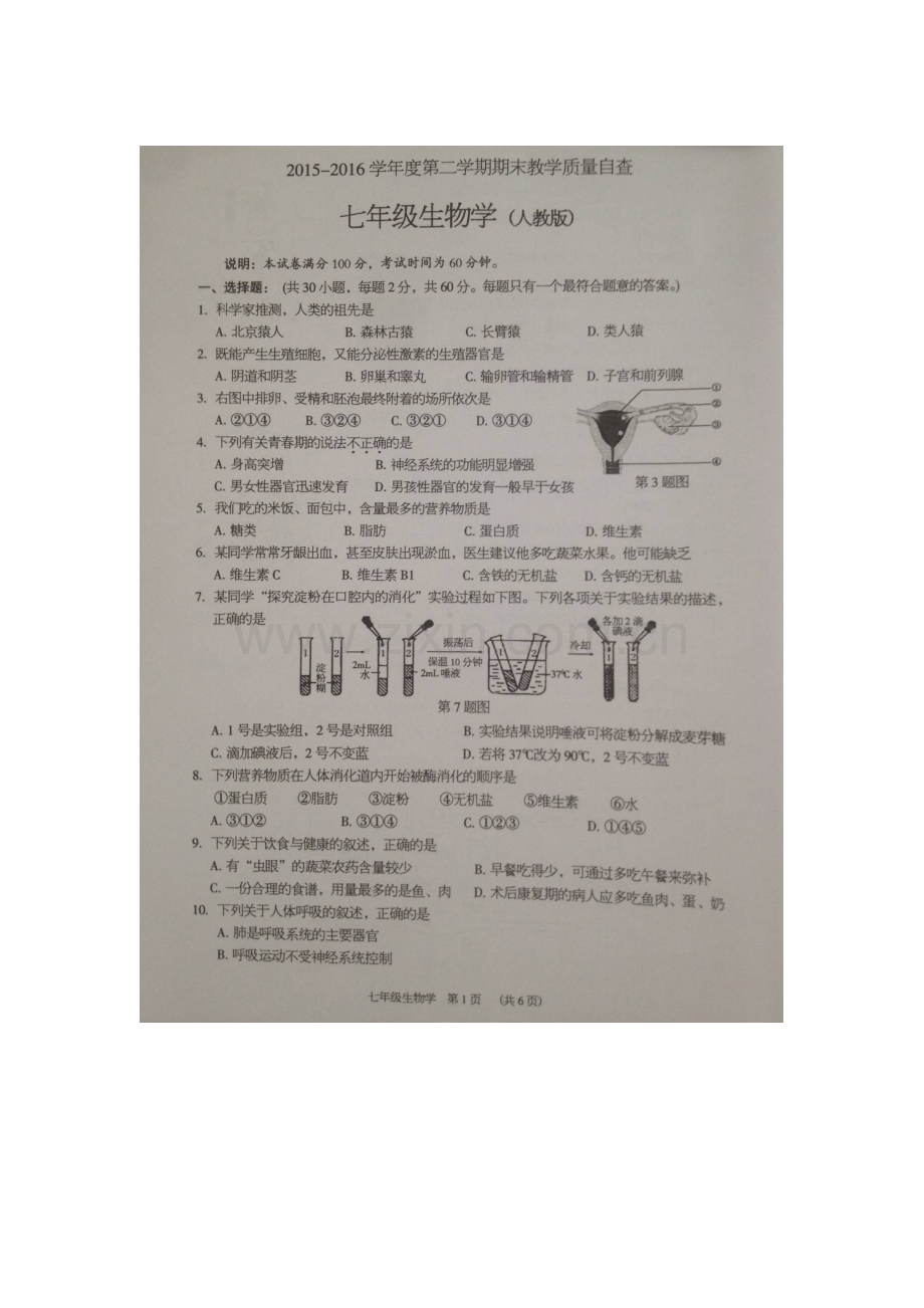 广东省东莞市2015-2016学年七年级生物下册期末考试题.doc_第1页