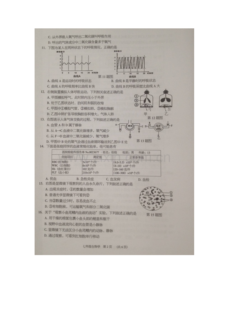 广东省东莞市2015-2016学年七年级生物下册期末考试题.doc_第3页