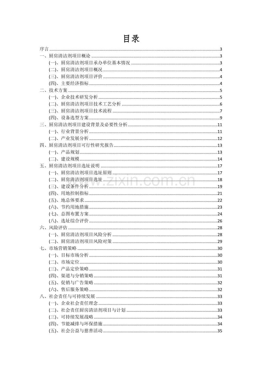 2024年厨房清洁剂项目深度研究分析报告.docx_第2页