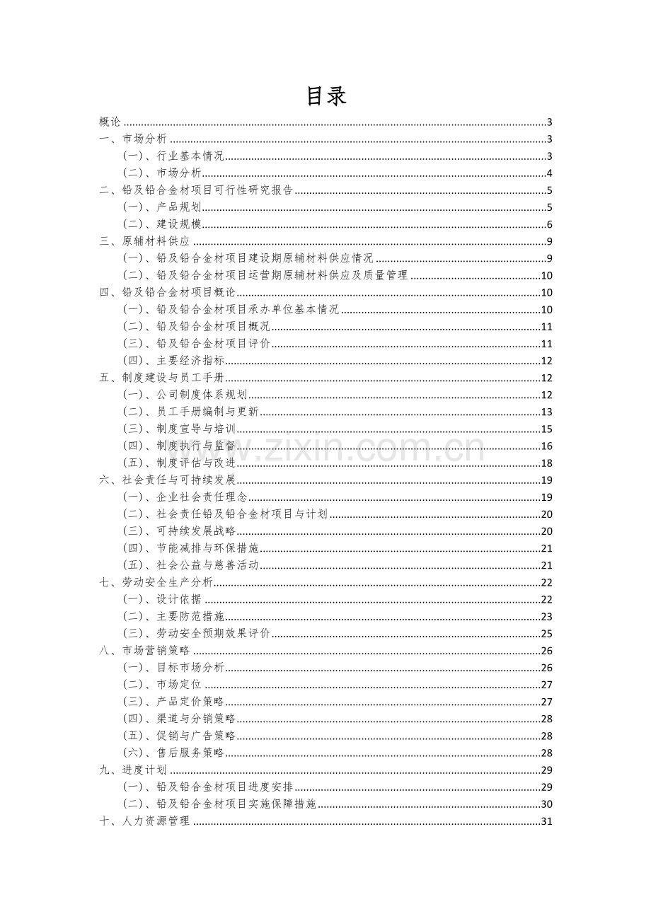 2024年铅及铅合金材项目投资分析及可行性报告.docx_第2页