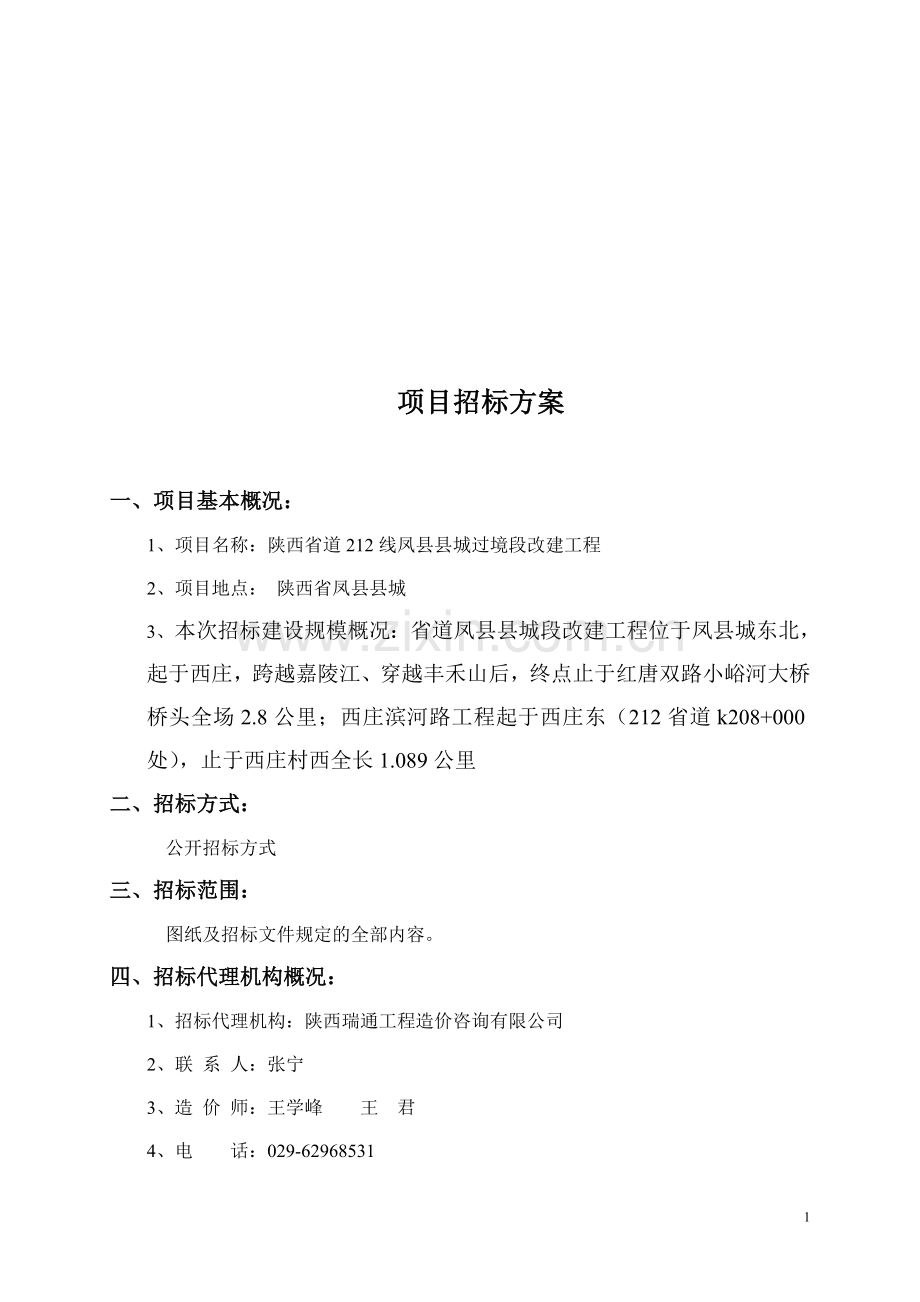 项目招标实施方案.doc_第1页