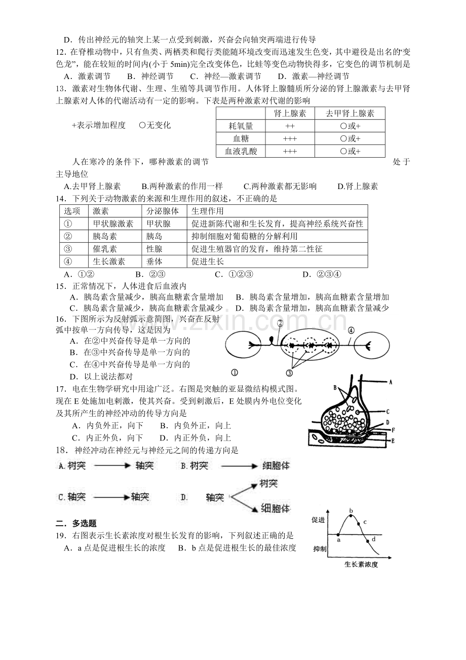 单元检测——生命活动的调节.doc_第3页