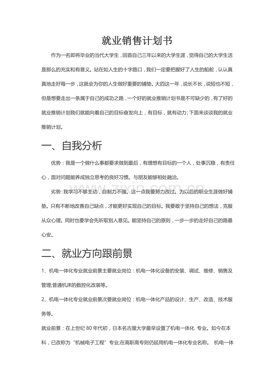 就业推销计划书.doc_第3页