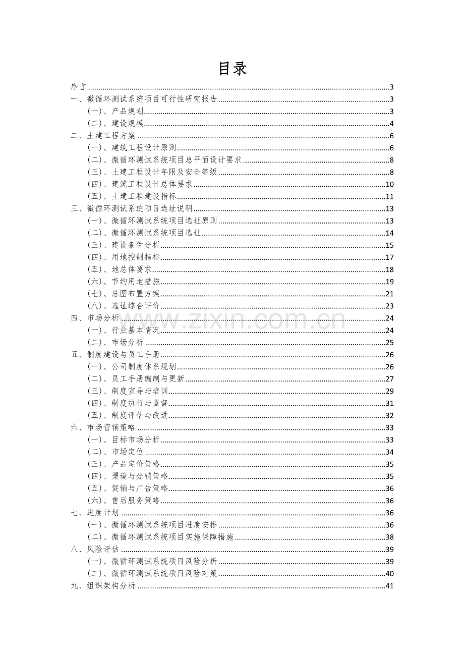 2024年微循环测试系统项目投资分析及可行性报告.docx_第2页