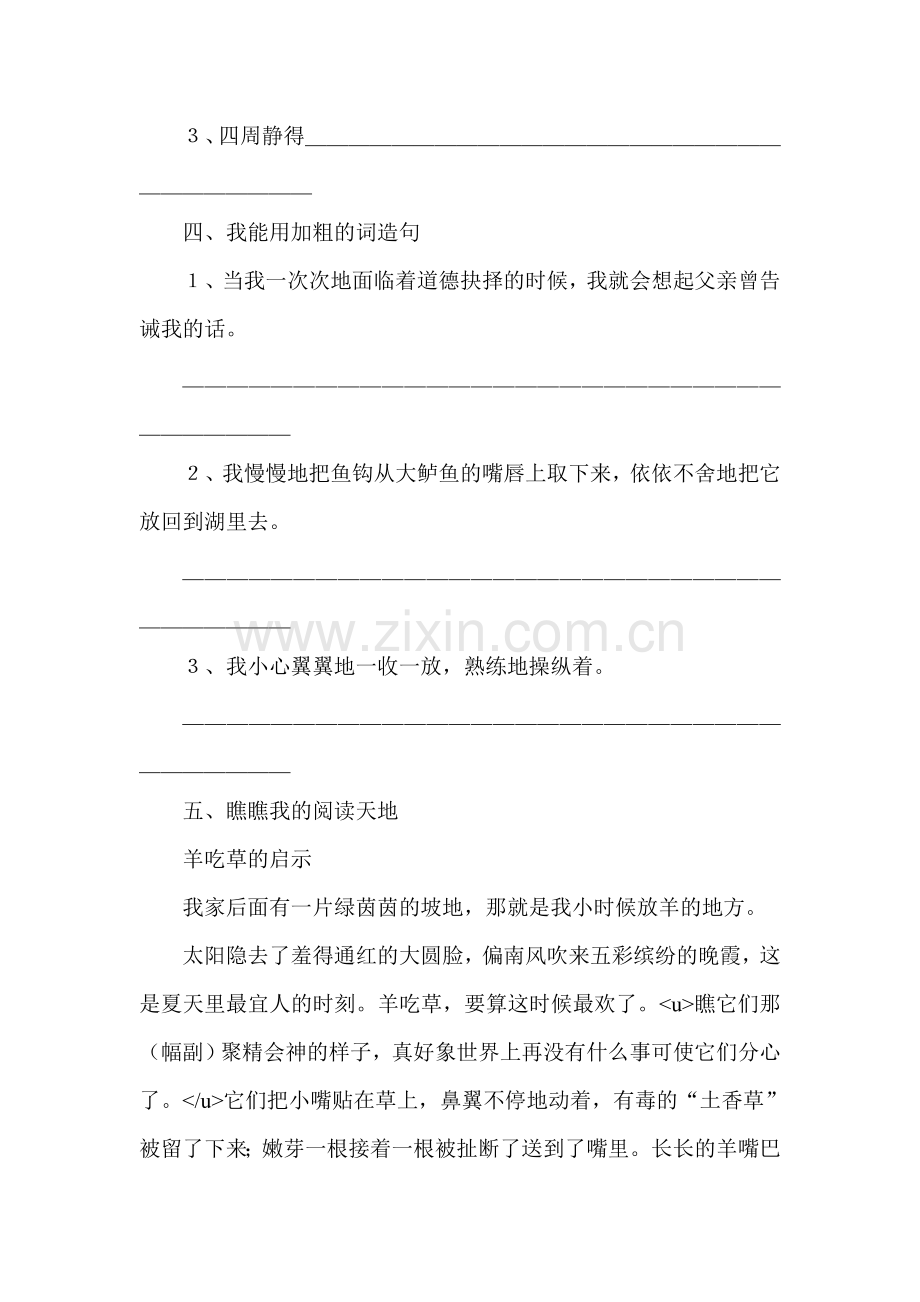 五年级语文钓鱼的启示练习题1.doc_第2页