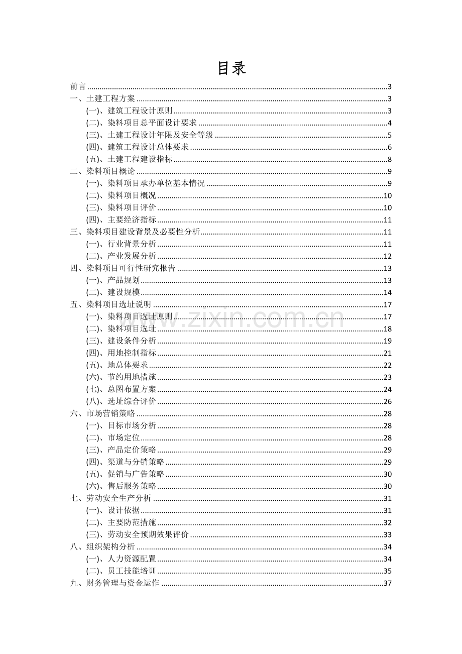 2024年染料项目投资分析及可行性报告.docx_第2页