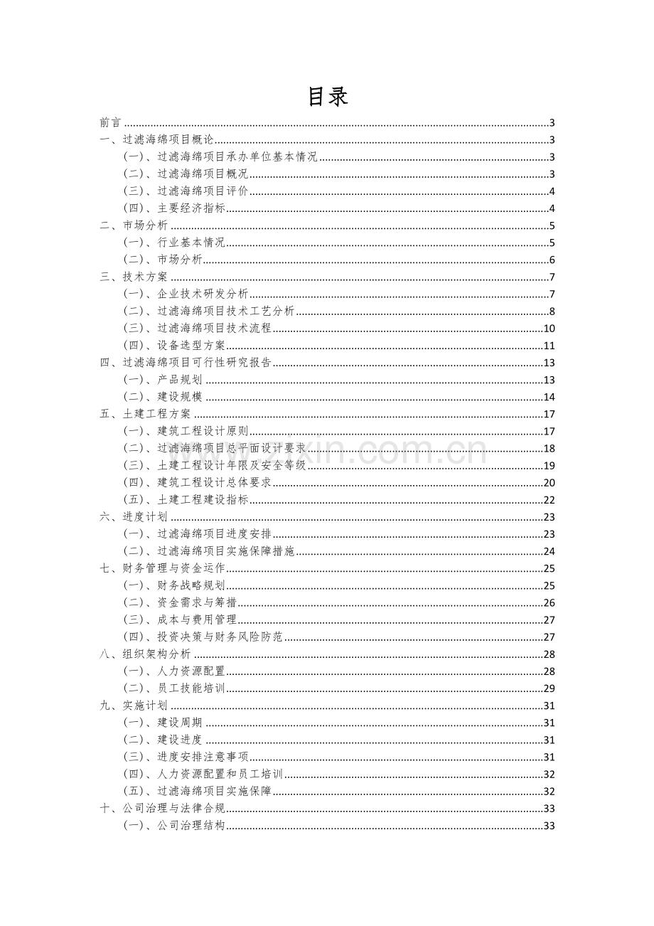 2024年过滤海绵项目可行性研究报告.docx_第2页