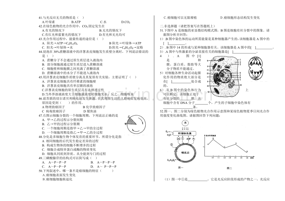 高二生物第一学期期中检测试卷.doc_第3页