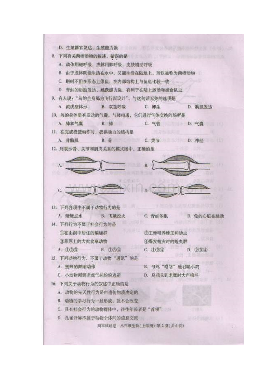 江西省八江市2015-2016学年八年级生物上册期末试卷.doc_第2页