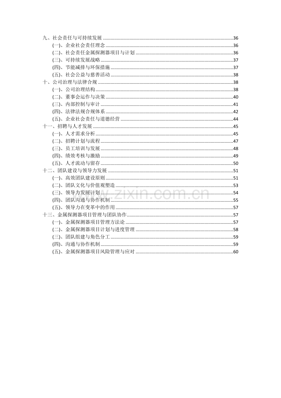 2024年金属探测器项目可行性分析报告.docx_第3页