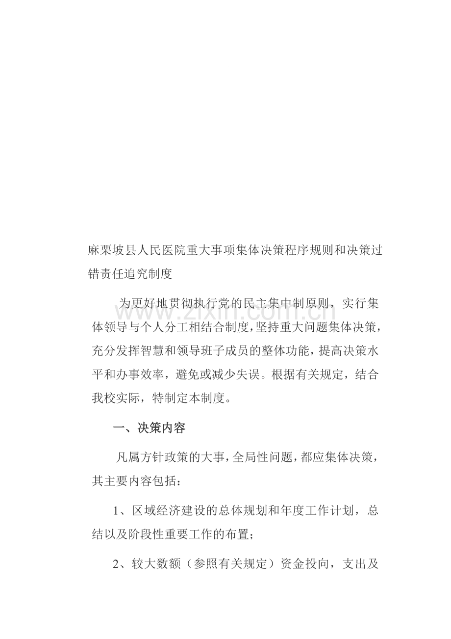 重大事项集体决策程序规则和决策过错责任追究制度.(上传试试doc.doc_第1页