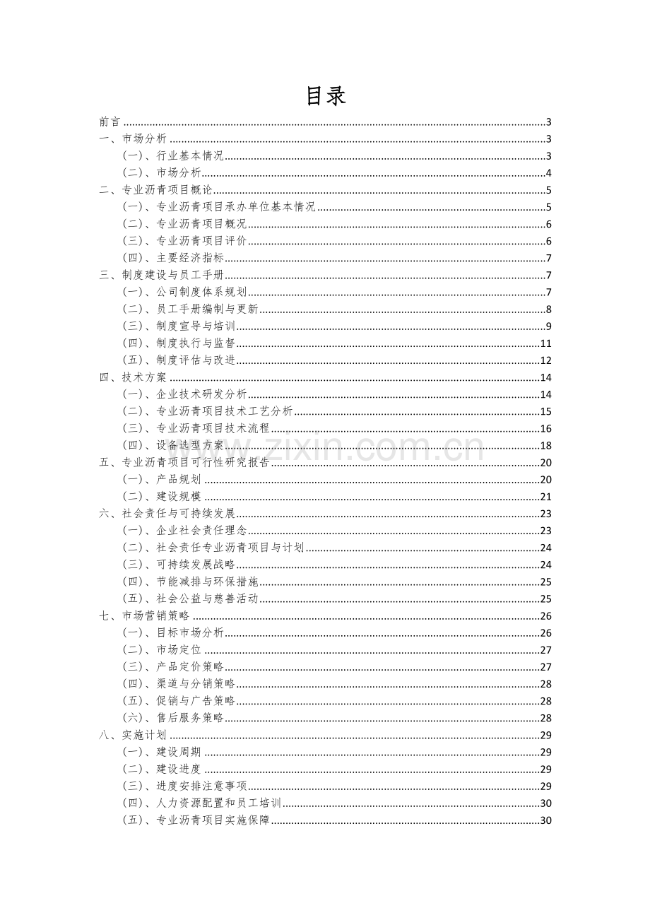 2024年专业沥青项目投资分析及可行性报告.docx_第2页