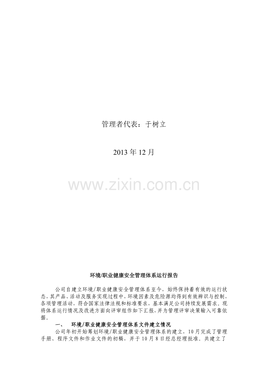 环境、职业健康安全管理体系运行情况报告.doc_第2页