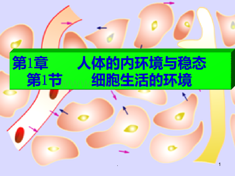 高中生物必修.ppt_第1页