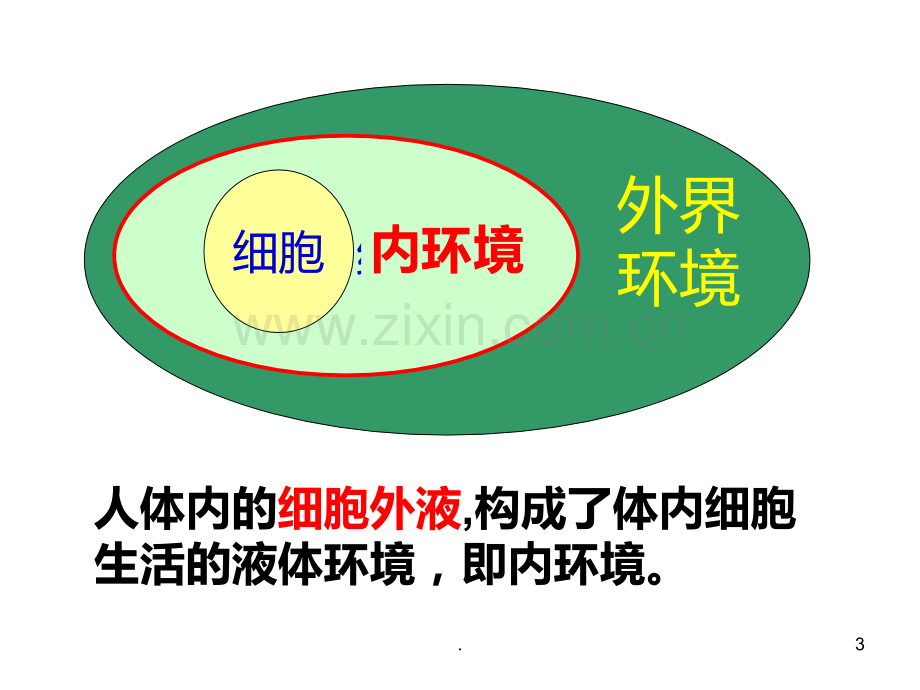 高中生物必修.ppt_第3页