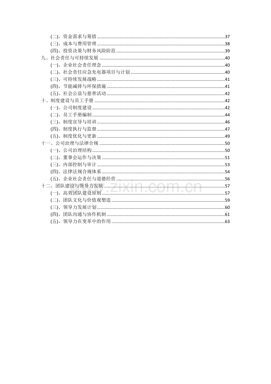 2024年应急充电器项目投资分析及可行性报告.docx_第3页