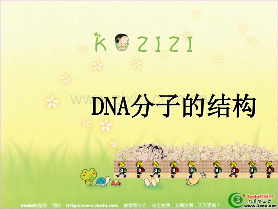 高一生物DNA结构.ppt_第2页