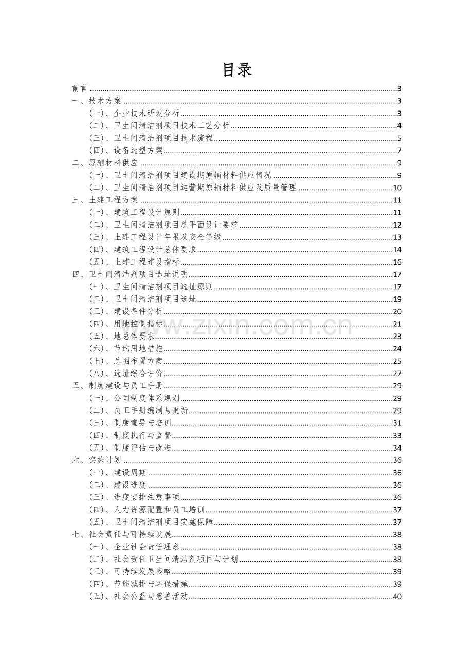 2024年卫生间清洁剂项目可行性分析报告.docx_第2页