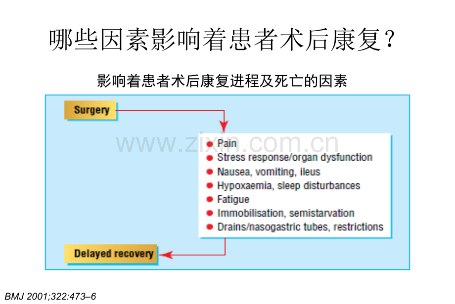 骨科快速康复(ERAS)PPT.ppt_第3页