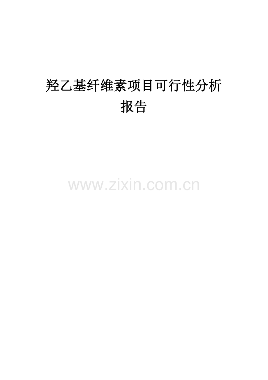 2024年羟乙基纤维素项目可行性分析报告.docx_第1页