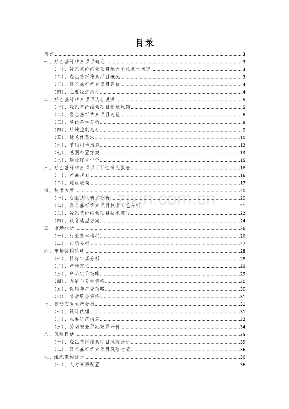 2024年羟乙基纤维素项目可行性分析报告.docx_第2页