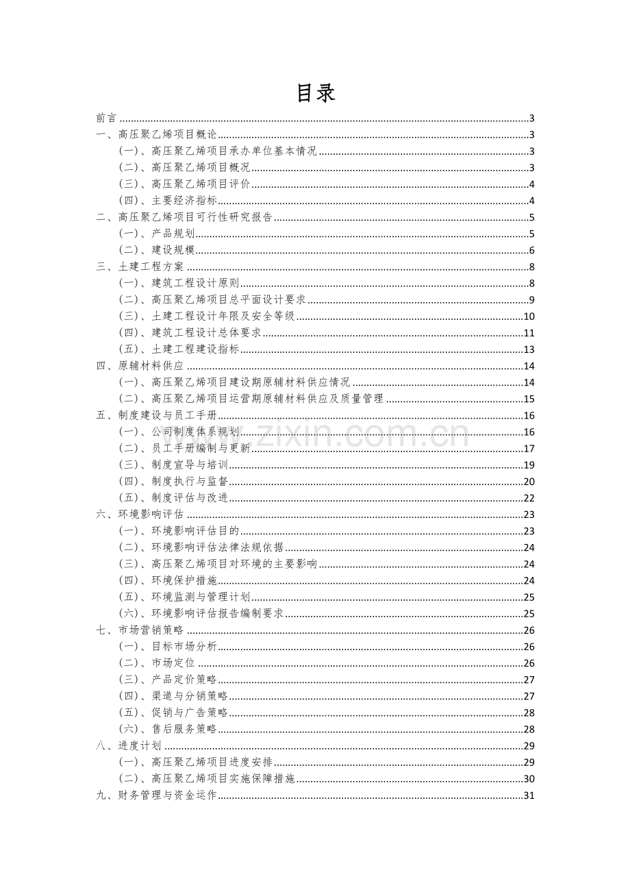 2024年高压聚乙烯项目可行性研究报告.docx_第2页